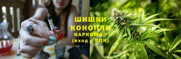 шишки Абдулино