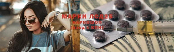 винт Абаза