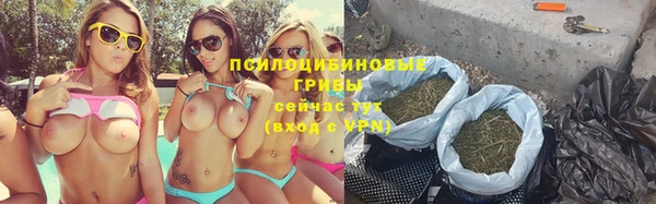 винт Абаза