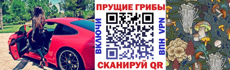 блэк спрут онион  Шимановск  Псилоцибиновые грибы Cubensis 